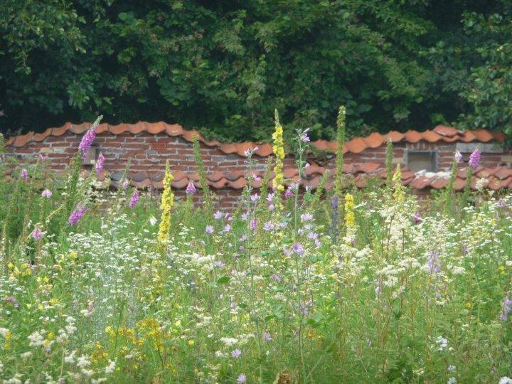 Bed En Breakfast Het Loo Bergeijk Екстериор снимка